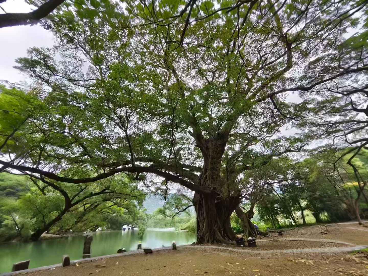 物流工作沟通的媒介